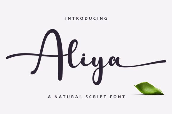 Aliya: A Flowing Script Font for Timeless Editorial Design