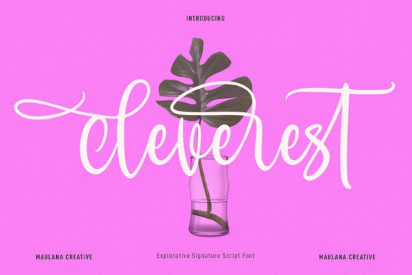 Cleverest Script Font for Small Business Branding