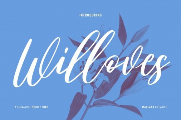 Willoves Script Font for Elegant Campaign Design